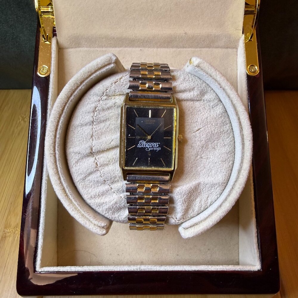 Vintage Citizen Sierra Springs 1980s Tank Watch Gold/Black 6031-K02627 CKW, 25mm